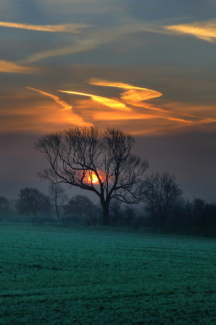 wiccainvocation:  forbiddenforrest:  Fire in the Sky by asheers on Flickr.  www.wiccainvocation.com