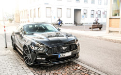 automotivated:   	Mustang in the evening sun. by fabianbaege    	Via Flickr: 	Ford Mustang 2015 - Karlsruhe  