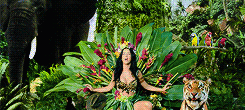 mr-incredibles:  Katy Perry - Roar (x)  