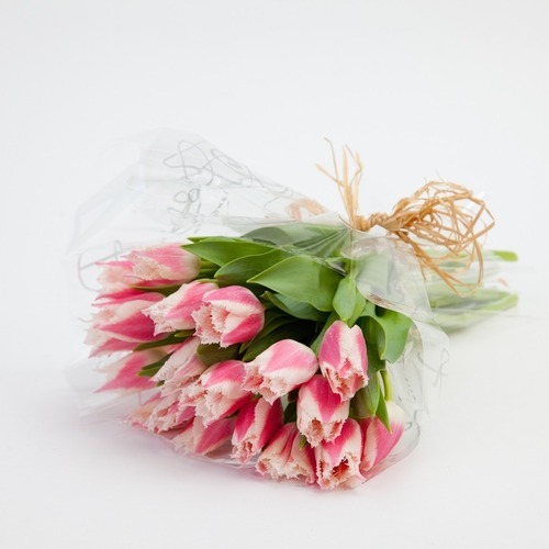 定番 Paula Pryke — Paula Pryke Flower School アート・デザイン・音楽