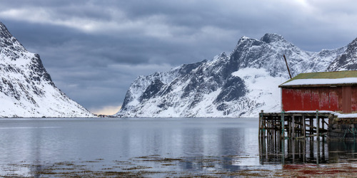 The Glory Days have Passed The beautiful “Kirkefjorden” fjord outside Reine in Lofoten, 