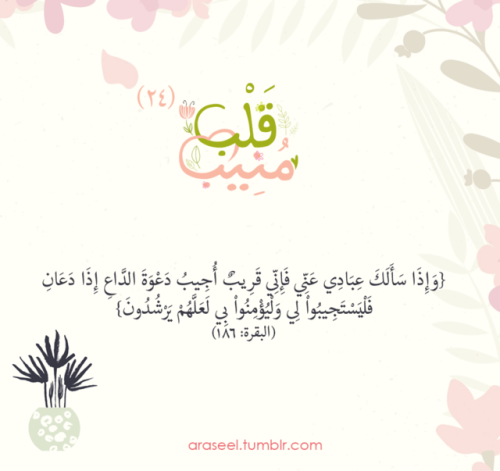 araseel: | #قلب_منيب ٢٤ رمضان{وَإِذَا سَأَلَكَ عِبَادِي عَنِّي فَإِنِّي قَرِيبٌ أُجِيبُ دَعْوَةَ ال