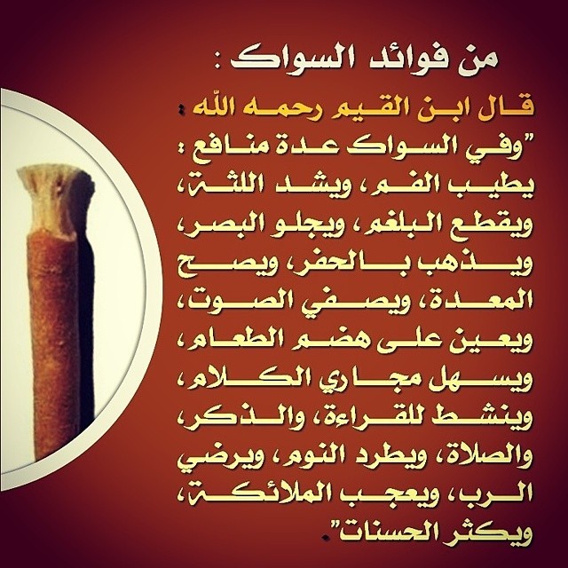 قصر الحلى للتجارة
