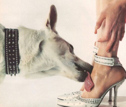 no23:
“Zooming into Emanuel Ungaro campaign, 2000 #mariosorrenti 💔 someone buy me a dog (!)
https://www.instagram.com/p/CdWTS-6Nu1a/?igshid=NGJjMDIxMWI=
”