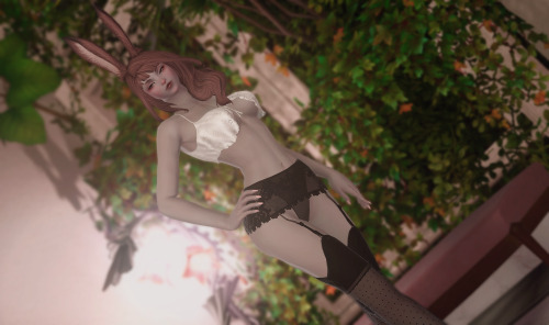 laelaxiv