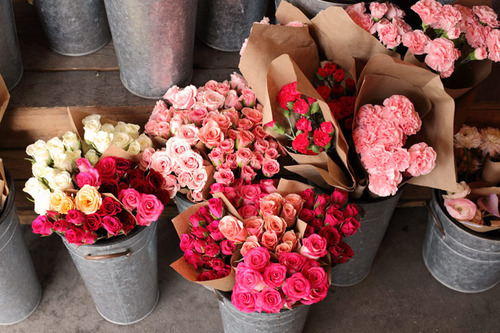 youneverreallystoplovingsomeone:  ωє | via Tumblr on We Heart It. http://weheartit.com/entry/61037352/via/Jorinde