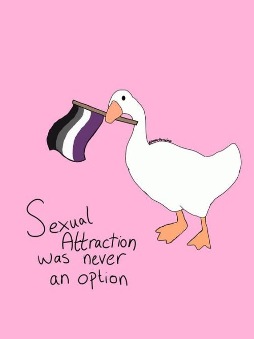 The goose wishes everybody a good day!!!GO ASEXUALS!!!If this art belong to you pls say