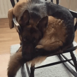 sleepyc0smic - - -