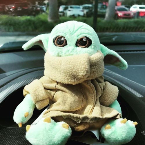 Baby Yoda and I are ready to road trip to Daytona for the Rolex24 (at Winter Garden, Florida)https:/
