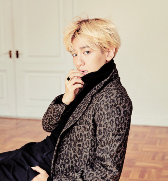 ohhsenshine:  baekhyun - elle new scans 