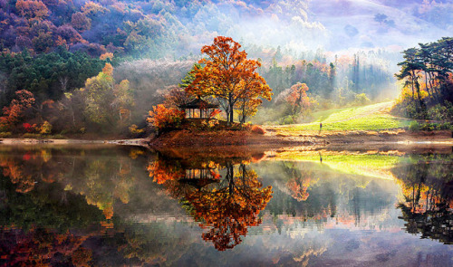 inkxlenses:Reflected Landscape Photography Capture the Beauty of South Korea | © Jaewoon U