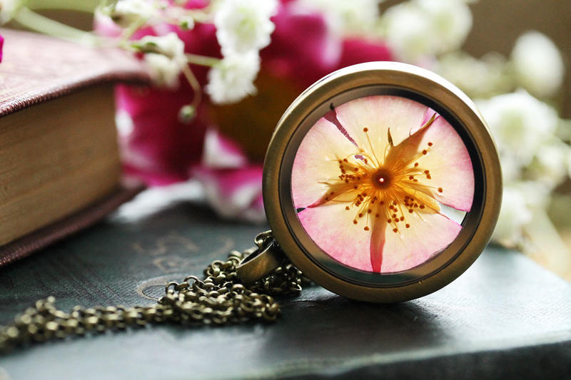 wordsnquotes:  culturenlifestyle: Romantic Crystal &amp; Terrarium  Encapsulated