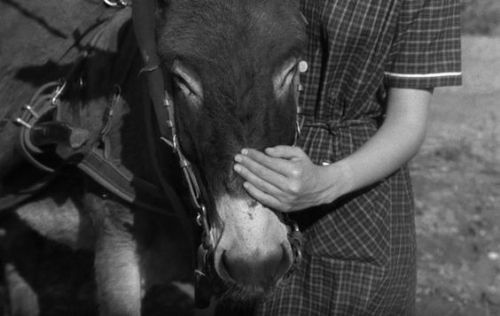 Robert Bresson, Au Hasard Balthasar, 1966