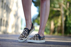 choiesclothes:  Leopard Pony Plimsolls (Click the link to find the item) @ choiesclothes 