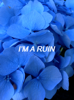 blxrryfroot:  i’m a ruin // marina &