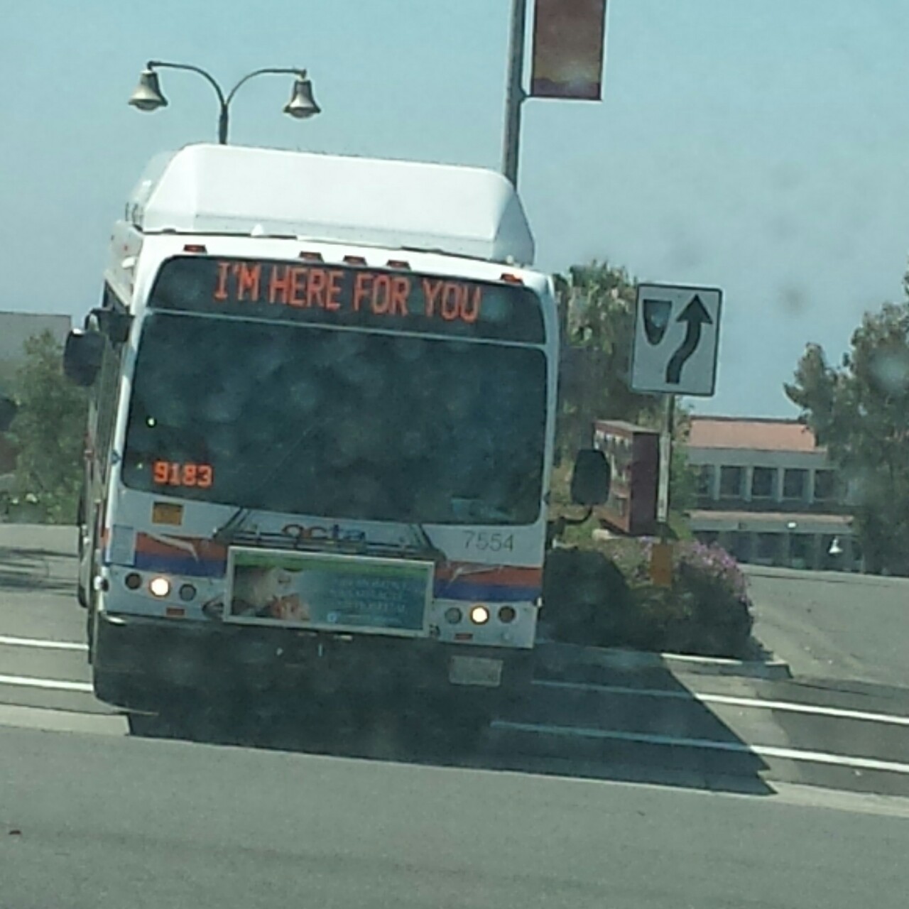 cleromancy:  #i can’t decide if this bus is being supportive or threatening me