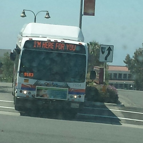 death-by-lulz:#i can’t decide if this bus is being supportive or threatening me