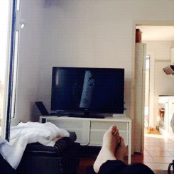 yellowmellowgifs:  + 