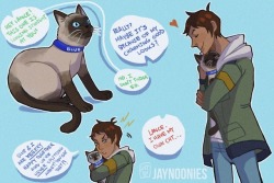 neko-kama:  [CLICK ON IMAGE FOR BETTER QUALITY] THE VOLTRON LIONS BECOME HOUSEHOLD CATS!!! *BONUS IN KEEP READING!!!* Keep reading 