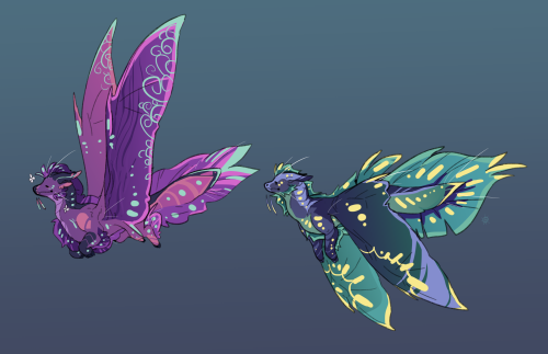 Seawing King And Queen