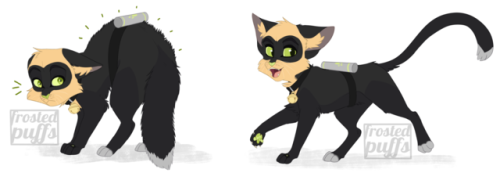 frostedpuffs:  Le Chat devient…le chat?i’ve been having a hard time drawing stuff lately due to time constraints and stress so i self indulged and drew chat noir as an actual cat. don’t know how it happened, but it was probably plagg’s fault—either