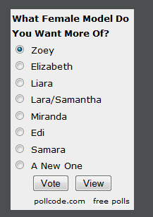 I&rsquo;ve added a poll to the side of the blog. You can vote on what models