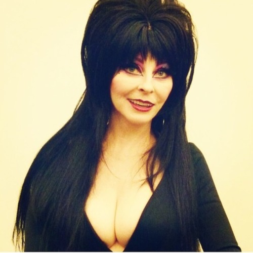 Mistress of the dark &hellip; #queenofhalloween #elvira #elviramistressofthedark #emotd #elviramotd 