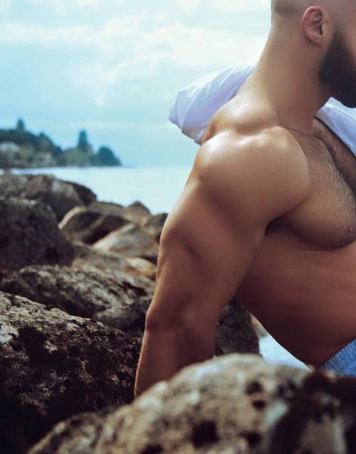 LA SAGAT DE FRANCOIS SAGAT