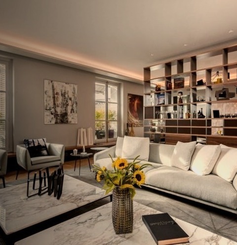 Paris Living Room Library