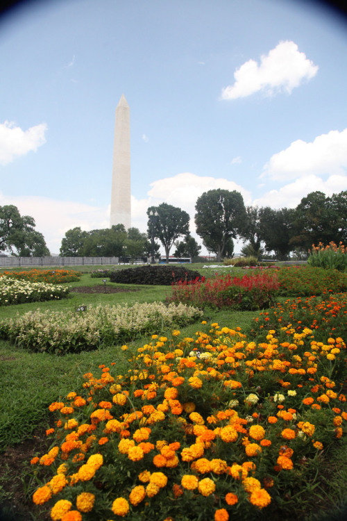 Beautification: A Legacy of Lady Bird Johnson “The environment after all is where we all meet