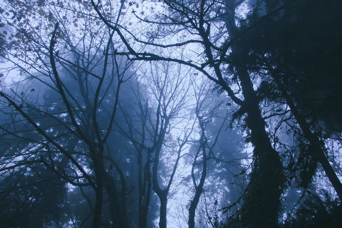 untrustyou:  Matt Vial