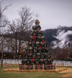 tennesseesweetea:The Jack Daniel’s Barrel