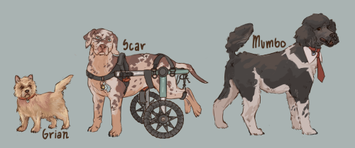 When In Doubt, Dog It Out