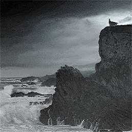 archive moodboards | @thegatesofhornandivory “Nam Sibyllam quidem cumis ego ipse oculis m