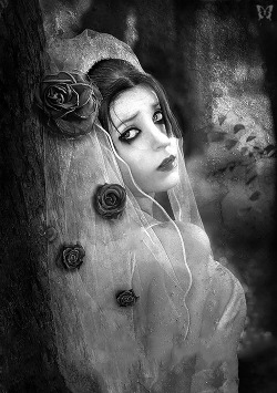 whitesoulblackheart:  Bloom and fade by Brideinblacklace my other edits here … Ƹ̴Ӂ̴Ʒ 