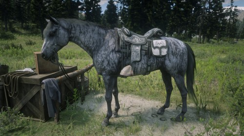 Showcasing the horses I have in “Red Dead Online”. Some new, some old with a lot le