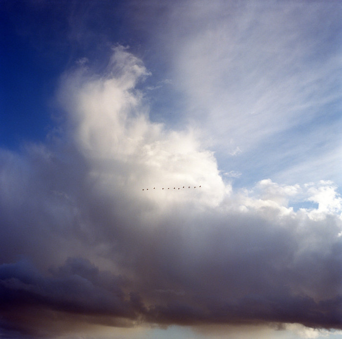 5centsapound:  Olya Ivanova: Sakhalin, masters of Spirit Nivkh and Uilta (or Orok),