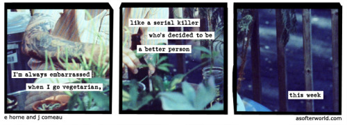 softerworld: A Softer World: 1189 (Murdering used to feel so simple and right.) buy this print &bull