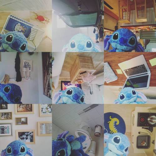 #stitch #travels #upsidedownhouse #upsidedown #topsyturvy #taipei #taiwan