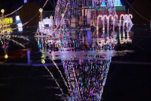 雨の日だからこそ綺麗な風景がある。 ・ ・ ・ #tokiwaファンタジア#Illumination #reflection #ときわ公園#xt20 #xf35mmf14#fujifilm