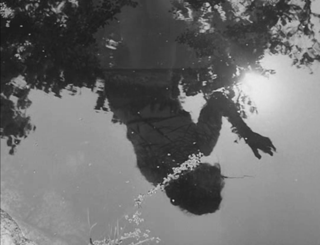 memoryslandscape:  Photographer, title, and date not given