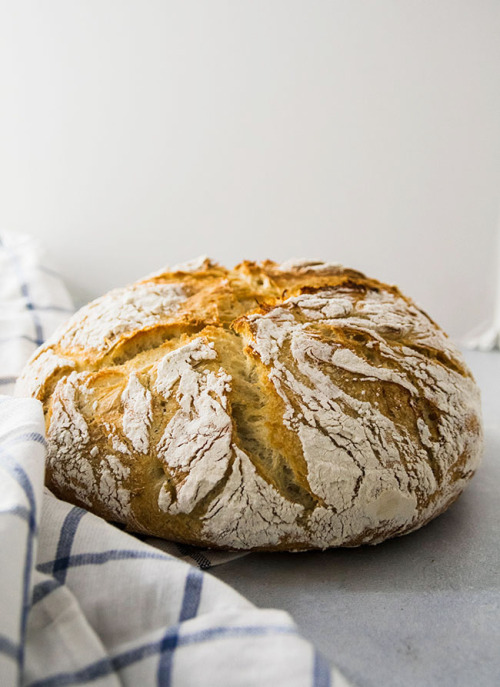 woodandgrains:crusty roasted garlic and rosemary bread