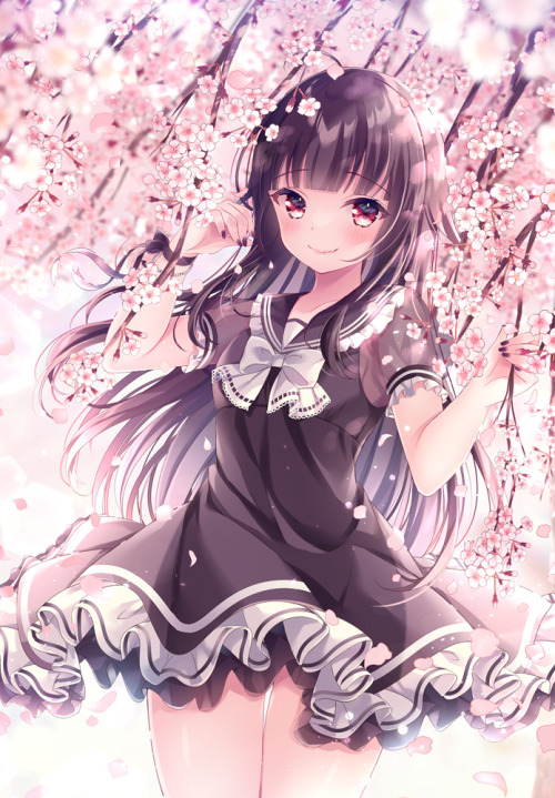 May 2, 2022 - The cherry blossoms look beautiful today.Artist: ねむりねむ