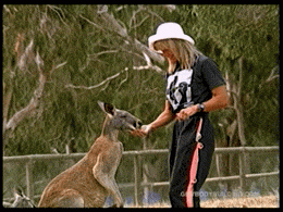 l00k4tm4m45c415:Cory Everson in Australia (part 1) - Spending time with kangaroos