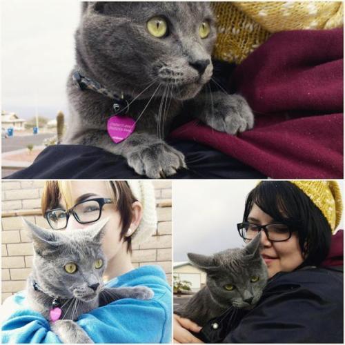 apollo-pop:  SNOW IN THE DESERT! This is the first time I’ve ever seen snow in my hometown and I’m so happy milkrainn and I got to experience it together with our butthole cat! * w*