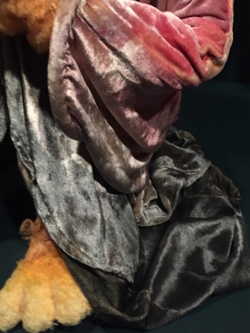 kalopsiavian:some photos i took of cantus!!! i’ll post more in a minute!!!!