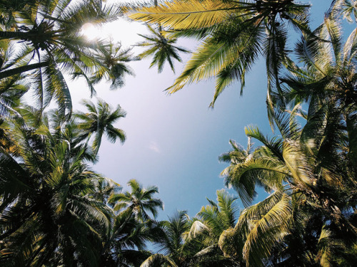 The Ultimate Guide to Hammock Camping At Tayrona National Park, in Colombia