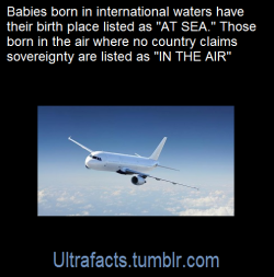 ultrafacts: Source: [x]  Follow Ultrafacts for more facts! 