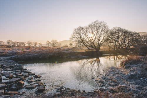 2013-12-22Instagram  |  hwantastic79vividUpo wetland, Republic of Korea Nikon D4 + AF-S NIKKOR 24-70