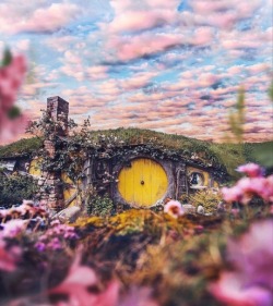 adventure-heart:  The Hobbit House